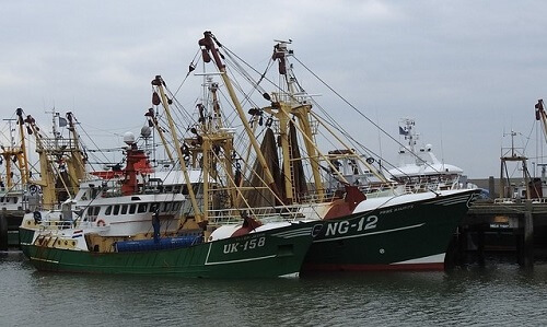 barco arrastrero